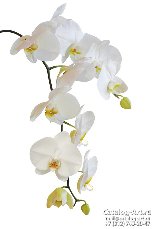 Натяжные потолки с фотопечатью - Белые орхидеи 3